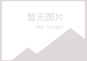 城子河区冰夏工程有限公司